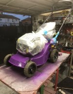 IMG_8761.jpeg