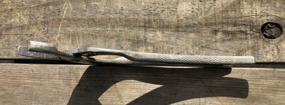 IMG_5196.jpeg
