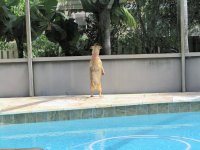 Standing Tall.jpg Standing Tall.jpg