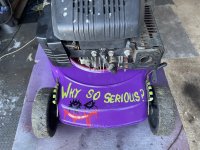 IMG_3802.jpeg