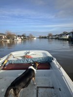IMG_1740.jpeg