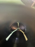 IMG_2225.jpeg