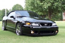 04 cobra.jpg