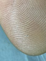 IMG_7298.jpeg