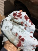 IMG_5360.jpeg