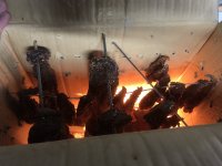 IMG_9163.jpeg