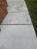 IMG_4570.jpeg IMG_4570.jpeg