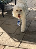 IMG_6816.jpeg