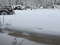 IMG_2144.jpeg