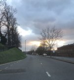 IMG_9431.jpeg
