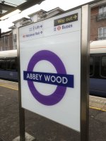 IMG_9518.jpeg