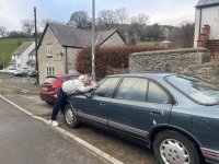 IMG_4383.jpeg