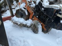 IMG_2157.jpeg