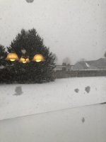IMG_6508.jpeg IMG_6508.jpeg