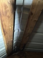 IMG_3737.jpeg