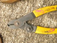 IMG_1463 Stippers.jpg