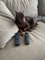 IMG_7995.jpeg