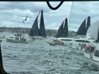 Boxing-Day-Harbour-cruise-10.jpg