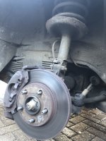 IMG_9864.jpeg