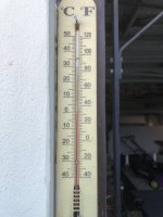 IMG_9919.jpeg