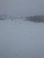 IMG_6525.jpeg