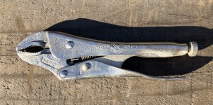 IMG_5899.jpeg
