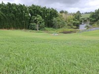Resized Post #487 - Photo No. 1.jpg