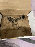 IMG_1830.jpeg