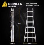 gorilla.jpg gorilla.jpg