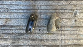 IMG_6026.jpeg