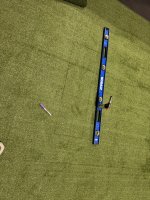 IMG_2379.JPEG