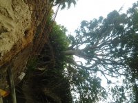 20131120_060936.jpg