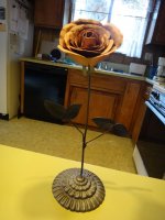 DSC02032.jpg
