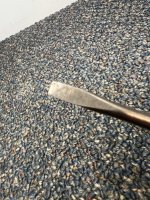 IMG_5735.jpeg