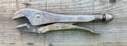 IMG_6079.jpeg
