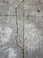 IMG_1829.jpeg