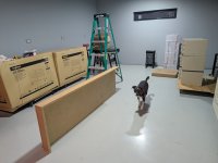 PXL_20260120_224236988.jpg