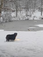 20260201_093121.jpg