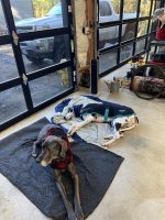 IMG_5666.jpeg