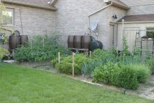 IMG_5172.jpg
