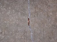 floor2.jpg