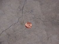 floor3.jpg