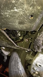 IMG_20260203_192825.jpg