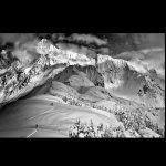 IMG_7241.jpeg IMG_7241.jpeg