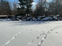 IMG_1266.jpeg