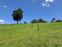 Post #495 - Photo No. 1.jpg