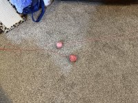 55086708933_9d97195c55_c.jpg