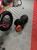 IMG_3240.jpeg