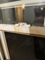 IMG_1890.jpeg IMG_1890.jpeg