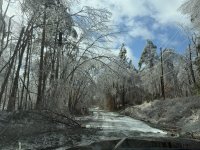 IMG_0774.jpeg